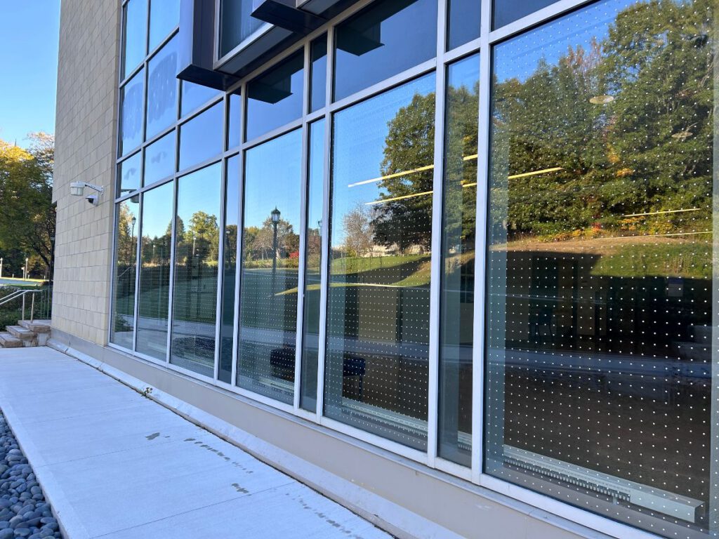 Feather-Friendly Window Film