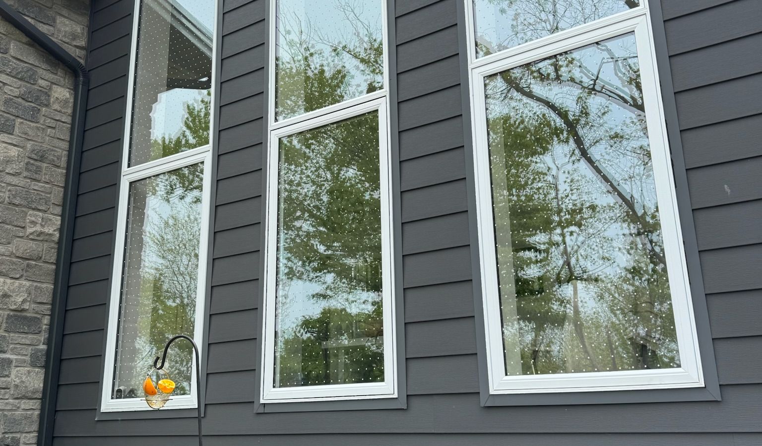 Residential Bird-Safe Window Film